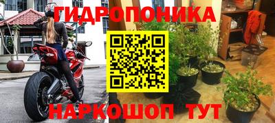 PSILOCYBIN Первоуральск