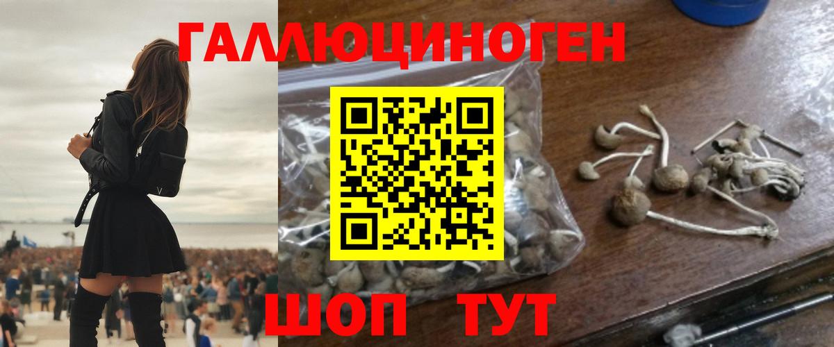 Псилоцибиновые грибы MAGIC MUSHROOMS  Вход с VPN  Галлюциногенные грибы Psilocybe  Скопин 